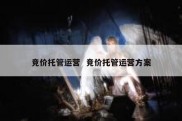 竞价托管运营  竞价托管运营方案