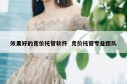 效果好的竞价托管软件  竞价托管专业团队