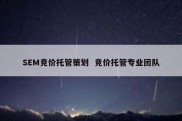 SEM竞价托管策划  竞价托管专业团队