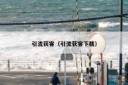 引流获客（引流获客下载）