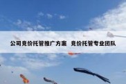公司竞价托管推广方案  竞价托管专业团队