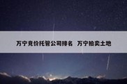 万宁竞价托管公司排名  万宁拍卖土地