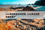sem竞价托管竞价托管  sem竞价托管在哪找客户