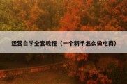 运营自学全套教程（一个新手怎么做电商）