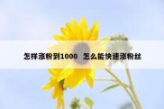 怎样涨粉到1000  怎么能快速涨粉丝