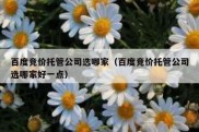 百度竞价托管公司选哪家（百度竞价托管公司选哪家好一点）