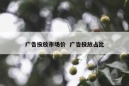 广告投放市场价  广告投放占比