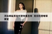 河北网站竞价托管效果怎样  竞价托管哪家便宜