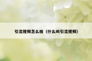 引流视频怎么拍（什么叫引流视频）