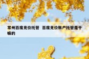 常州百度竞价托管  百度竞价账户托管是干嘛的