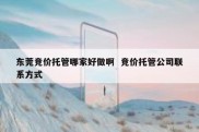 东莞竞价托管哪家好做啊  竞价托管公司联系方式