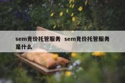 sem竞价托管服务  sem竞价托管服务是什么
