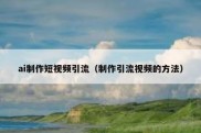 ai制作短视频引流（制作引流视频的方法）