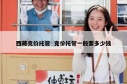 西藏竞价托管  竞价托管一般要多少钱