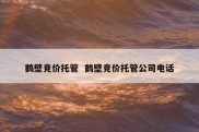 鹤壁竞价托管  鹤壁竞价托管公司电话