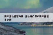 账户竞价托管效果  竞价推广账户账户托管多少钱