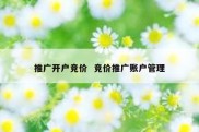 推广开户竞价  竞价推广账户管理