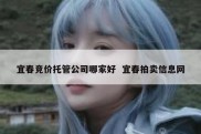 宜春竞价托管公司哪家好  宜春拍卖信息网