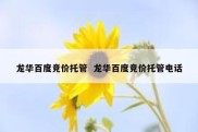 龙华百度竞价托管  龙华百度竞价托管电话