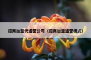 招商加盟代运营公司（招商加盟运营模式）