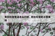竞价托管电话怎么打的  竞价托管的注意事项