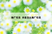 推广引流  抖音怎么推广引流