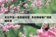 竞价外包一流凯越托管  竞价网络推广找凯越托管