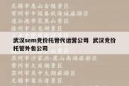 武汉sem竞价托管代运营公司  武汉竞价托管外包公司