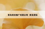 青岛竞价推广托管公司  青岛竞标