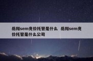 岳阳sem竞价托管是什么  岳阳sem竞价托管是什么公司