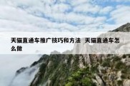 天猫直通车推广技巧和方法  天猫直通车怎么做