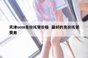 天津sem竞价托管价格  最好的竞价托管费用