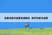 龙泉抖音代运营电话排名  四平抖音代运营