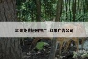 红果免费短剧推广  红果广告公司