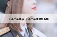 王小宁商业ip  王小宁商业课怎么样