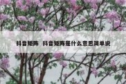 抖音矩阵  抖音矩阵是什么意思简单说