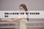 湖南sem竞价推广托管  推广竞价托管哪家好
