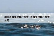 湖南百度竞价推广托管  百度竞价推广托管公司