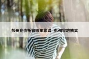 彭州竞价托管哪里靠谱  彭州宗地拍卖