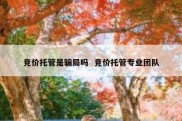竞价托管是骗局吗  竞价托管专业团队