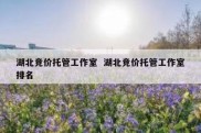 湖北竞价托管工作室  湖北竞价托管工作室排名