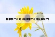 精准推广引流（精准推广引流获取客户）