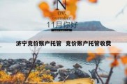 济宁竞价账户托管  竞价账户托管收费