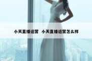 小天直播运营  小天直播运营怎么样