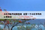 小红书起号运营思路  运营一个小红书号的心得体会