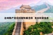 沧州账户竞价托管效果怎样  竞价托管信息