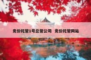 竞价托管1号总管公司  竞价托管网站