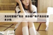 竞价托管推广竞价  竞价推广账户竞价托管多少钱