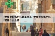 专业竞价账户托管是什么  专业竞价账户托管是什么业务
