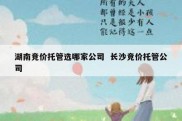 湖南竞价托管选哪家公司  长沙竞价托管公司
